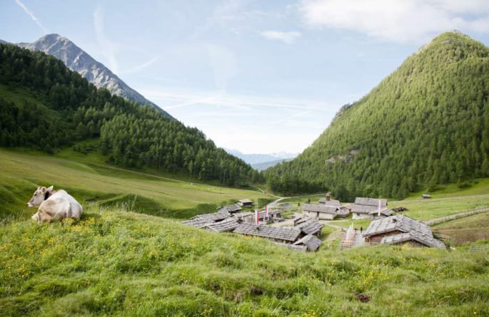 Fane Alm zur Brixner Hütte