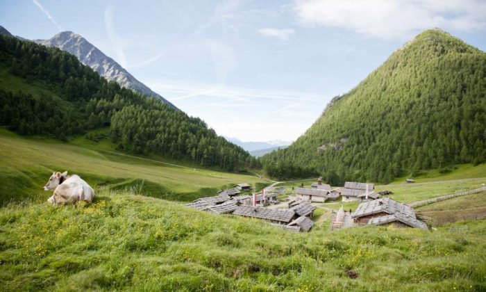 Fane Alm zur Brixner Hütte