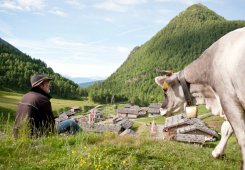 Wanderurlaub in Vals in Südtirol