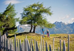 Wanderurlaub in Vals in Südtirol